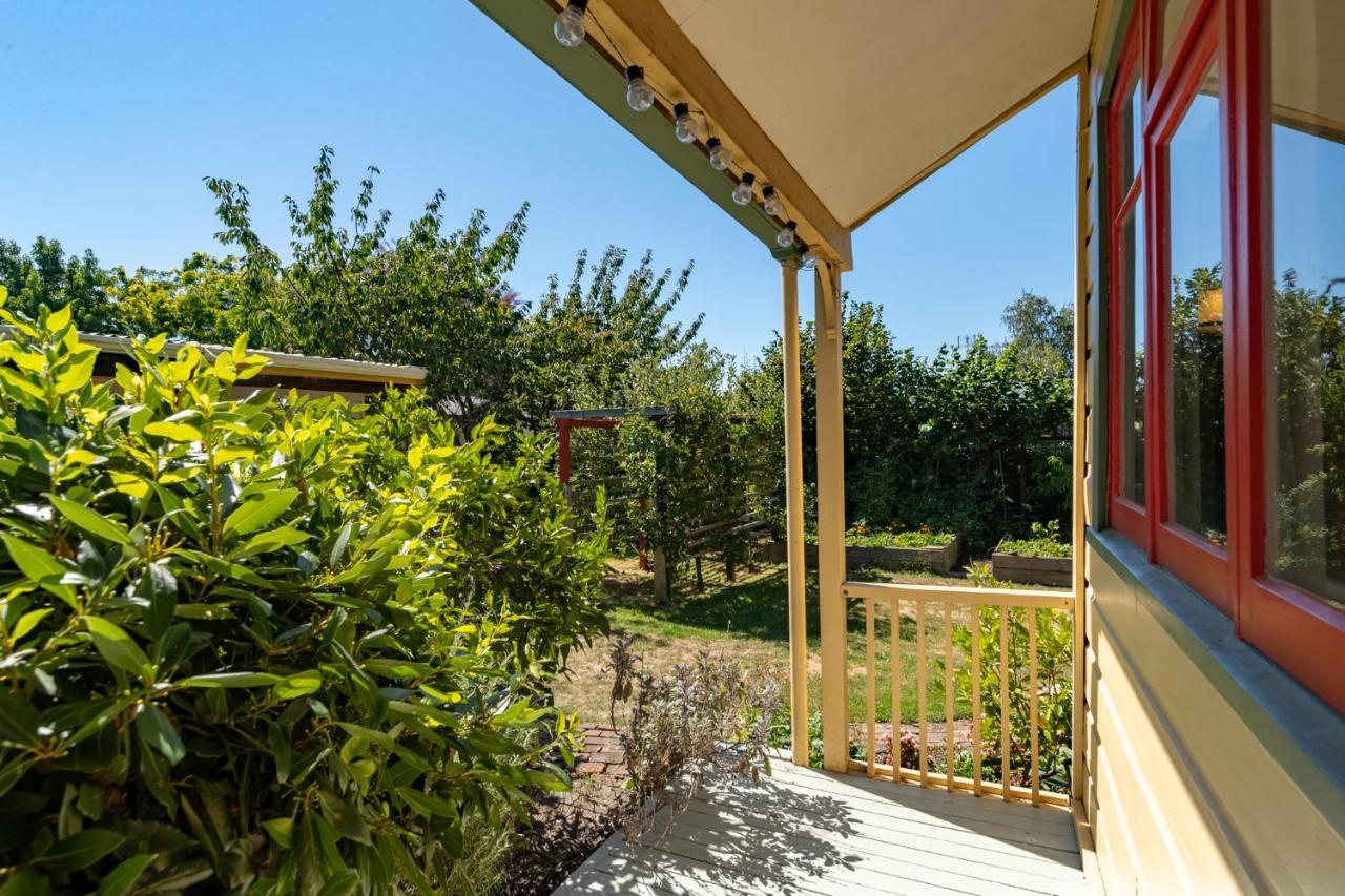Shy Cottage And Studio Greytown Kültér fotó