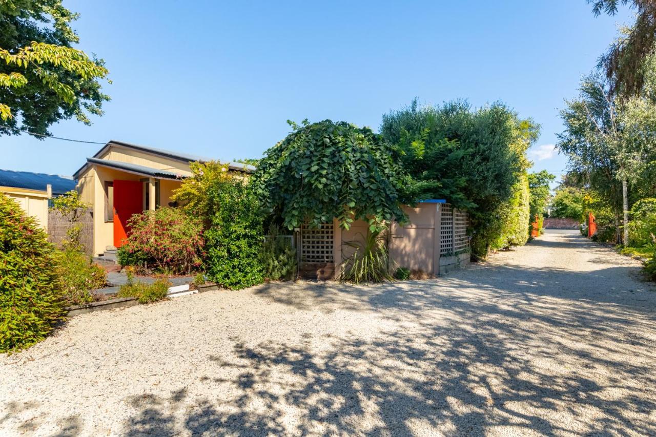 Shy Cottage And Studio Greytown Kültér fotó