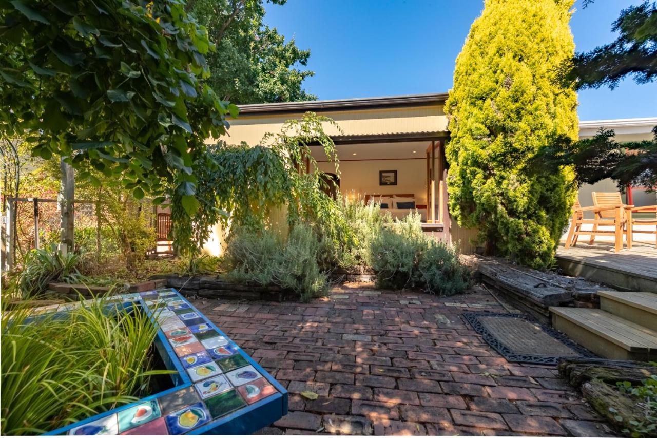 Shy Cottage And Studio Greytown Kültér fotó