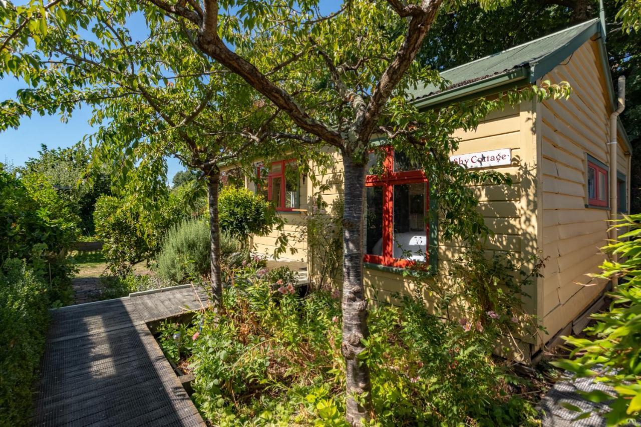 Shy Cottage And Studio Greytown Kültér fotó