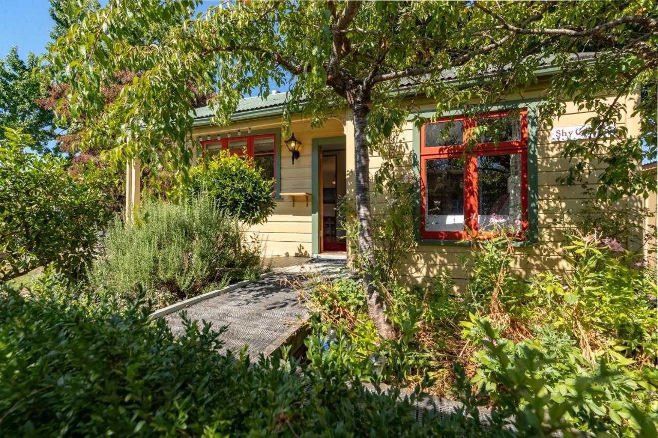 Shy Cottage And Studio Greytown Kültér fotó