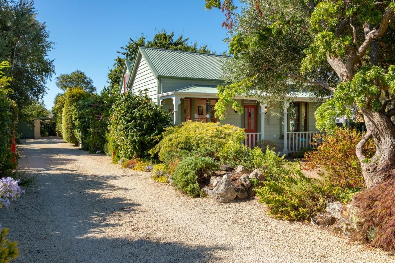 Shy Cottage And Studio Greytown Kültér fotó