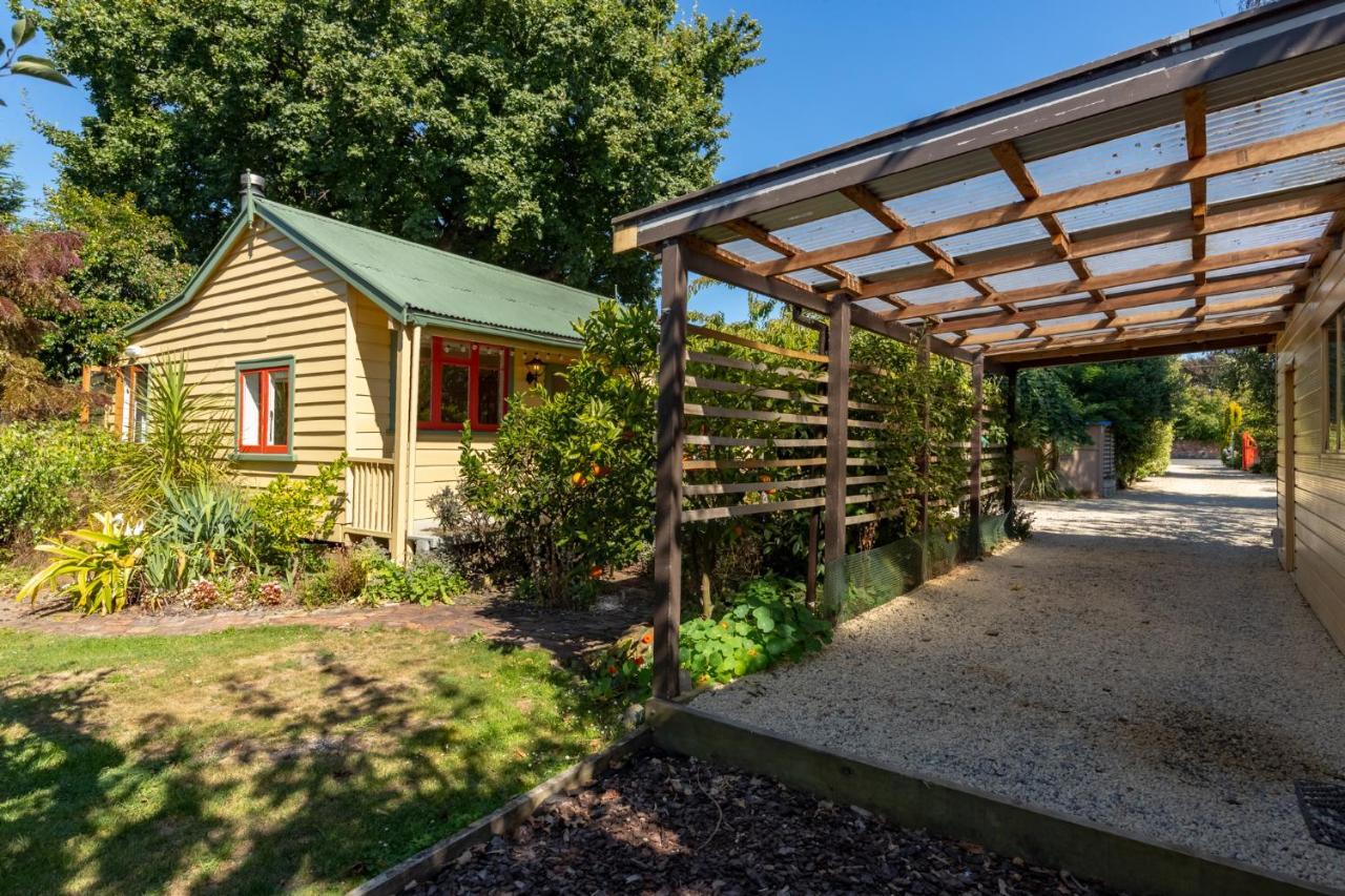 Shy Cottage And Studio Greytown Kültér fotó